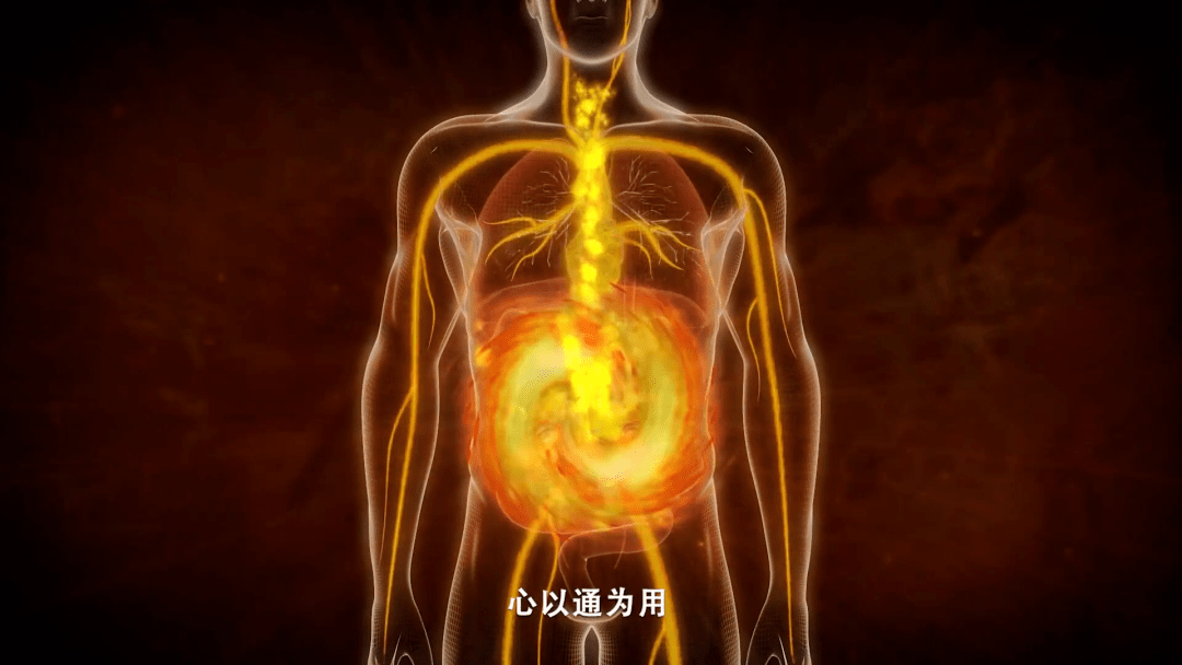 益考通苹果版
:重庆中医名科巡礼 | 《一分钟说中医》特别企划——北碚区中医院心血管科-第10张图片-太平洋在线下载