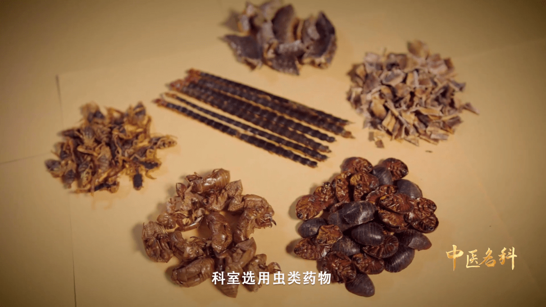 益考通苹果版
:重庆中医名科巡礼 | 《一分钟说中医》特别企划——北碚区中医院心血管科-第11张图片-太平洋在线下载