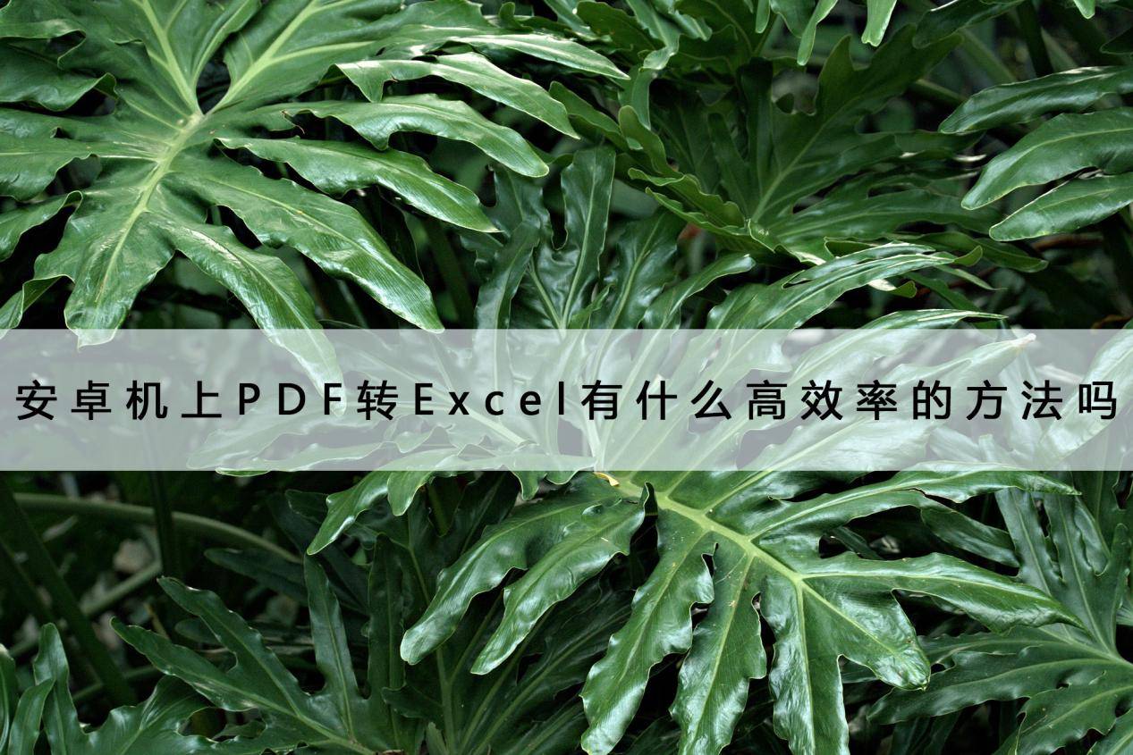 手机串号怎么查:安卓机上PDF转Excel有什么高效率的方法吗？手机都能转