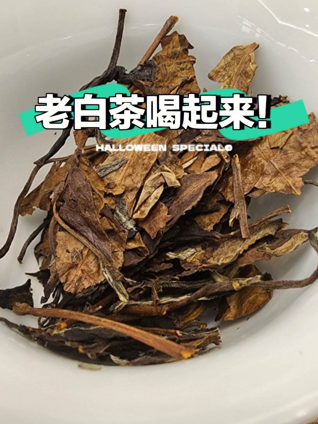 plotagragh安卓版plotagraph电脑版下载-第2张图片-太平洋在线下载