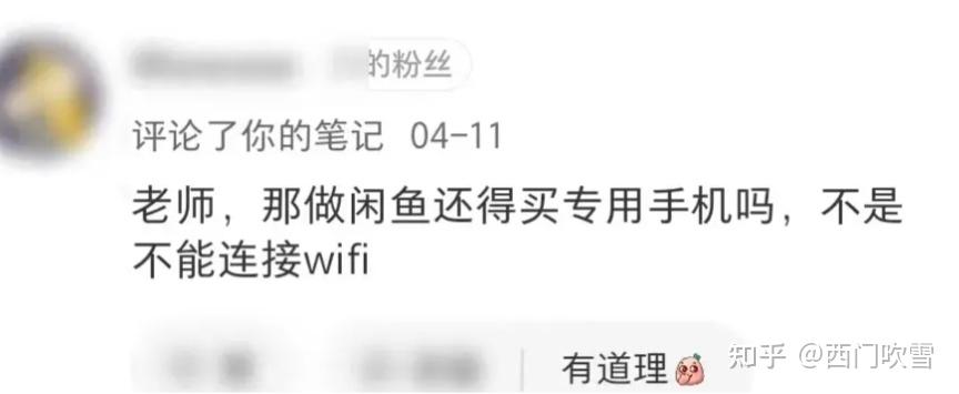 闲鱼苹果wifi版苹果wifi版是什么意思