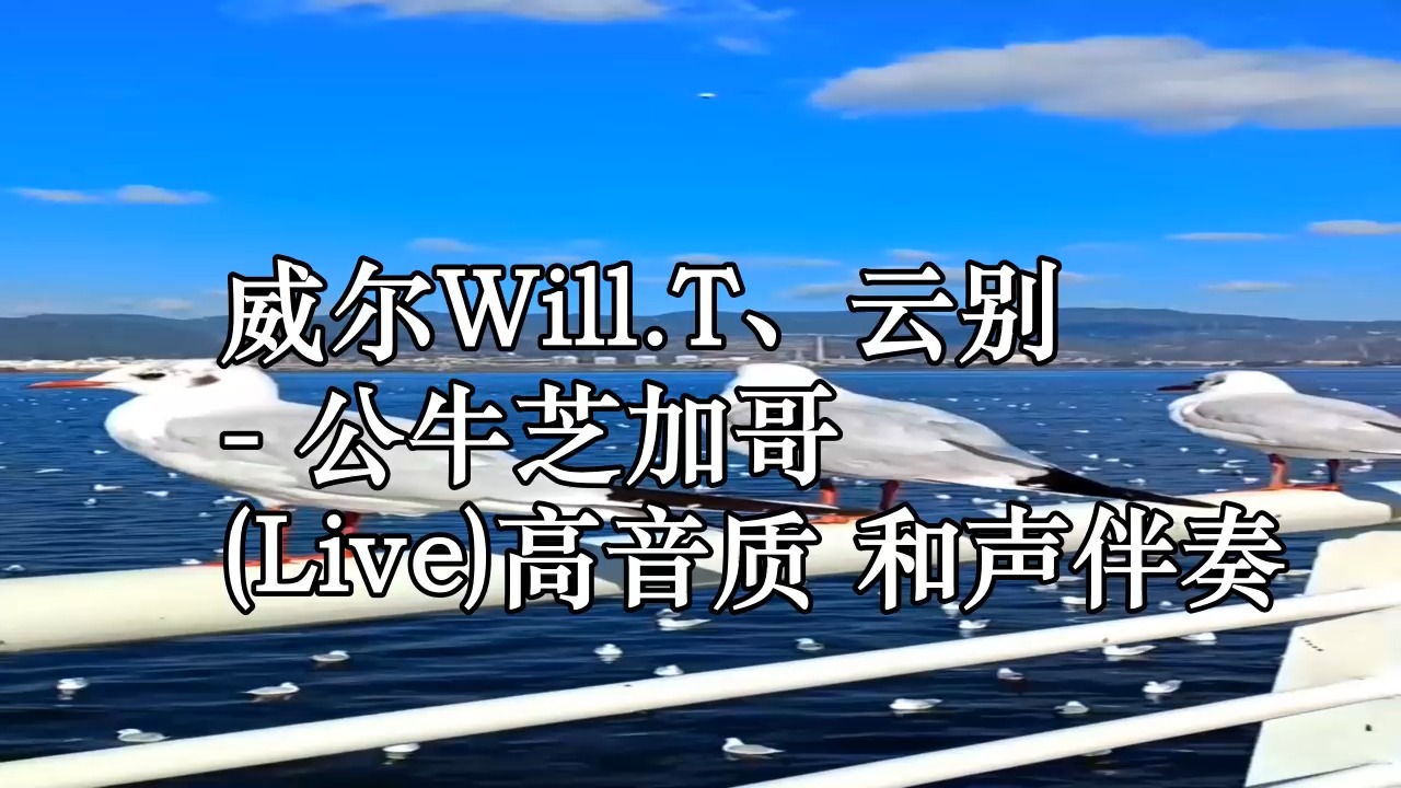 苹果公牛版音质苹果对比参数配置比较