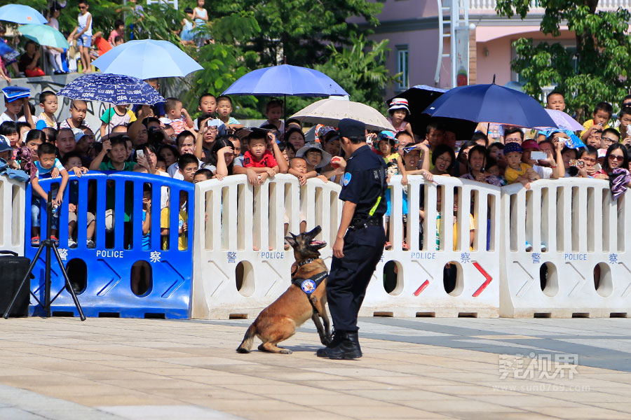 滨州警察版小苹果特警大队长是什么级别