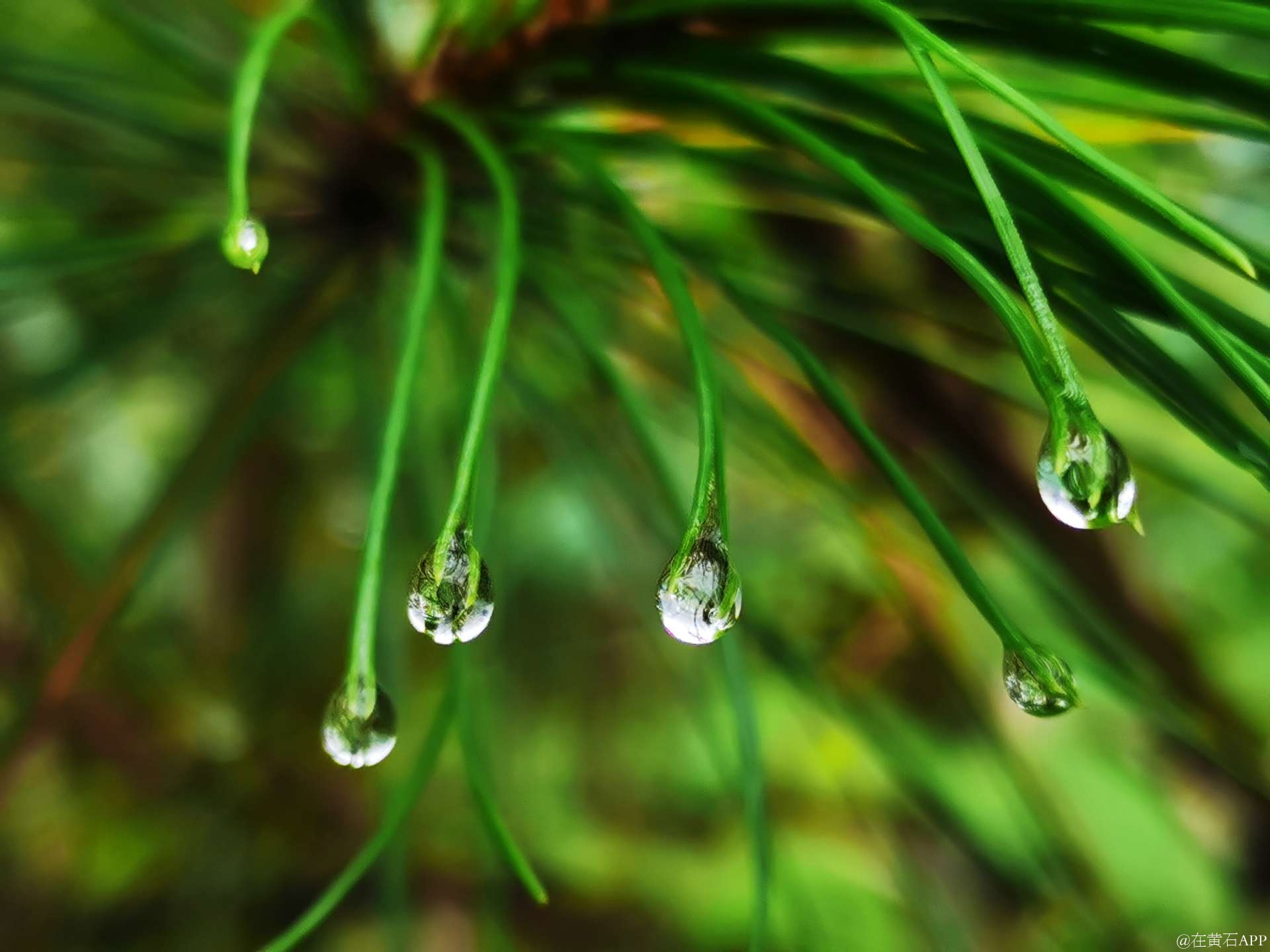 雨滴客户端是什么360小水滴电脑客户端-第2张图片-太平洋在线下载