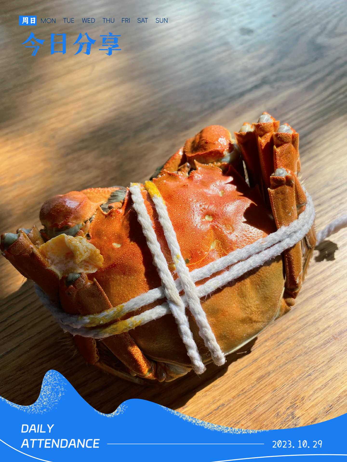 苹果版螃蟹(苹果螃蟹抢票)-第2张图片-QuickQ官网