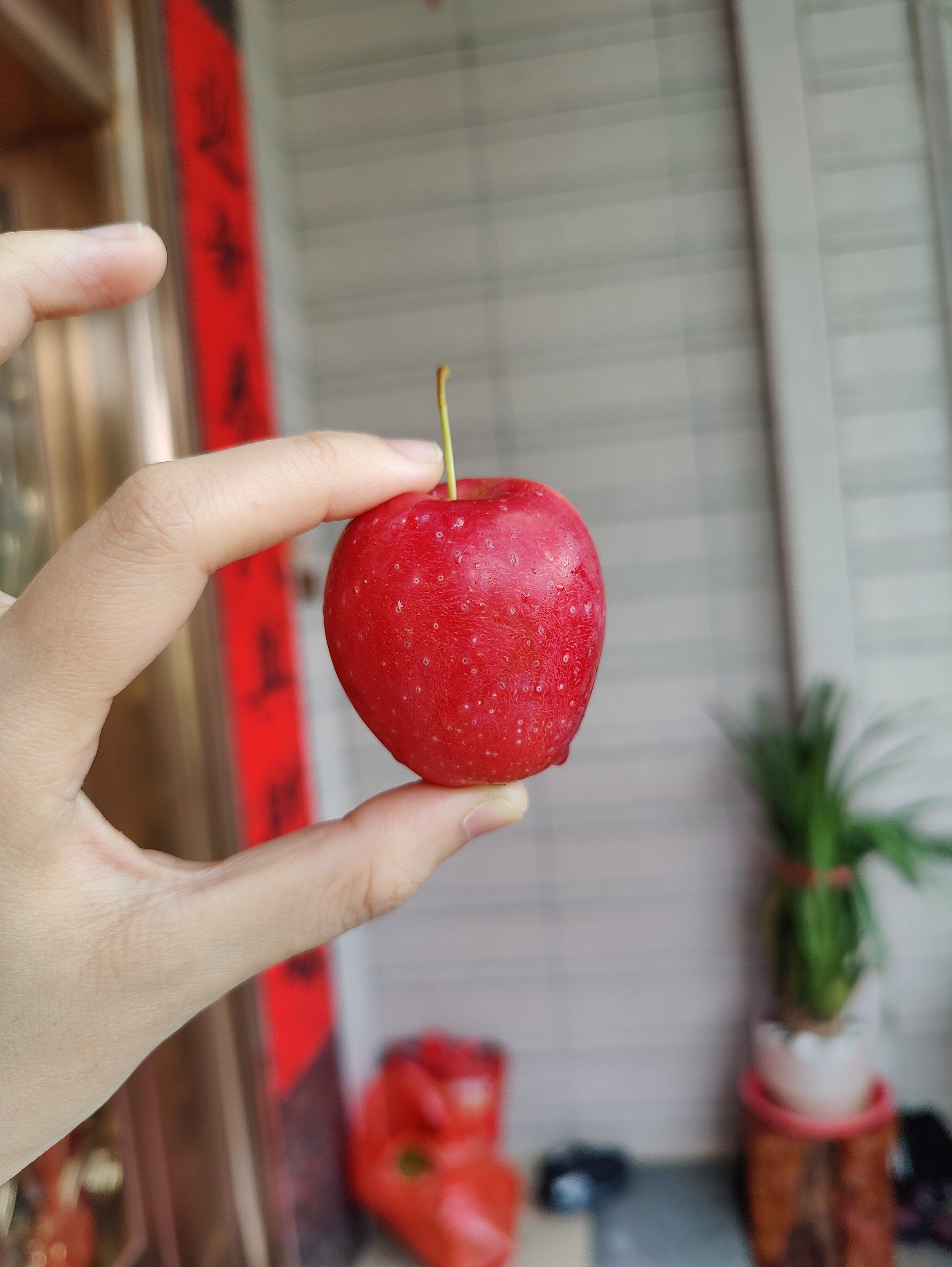 儿童版简单版小苹果(小苹果儿童版 儿童舞)-第2张图片-QuickQ官网 儿童版简单版小苹果(小苹果儿童版 儿童舞)-第2张图片-QuickQ官网