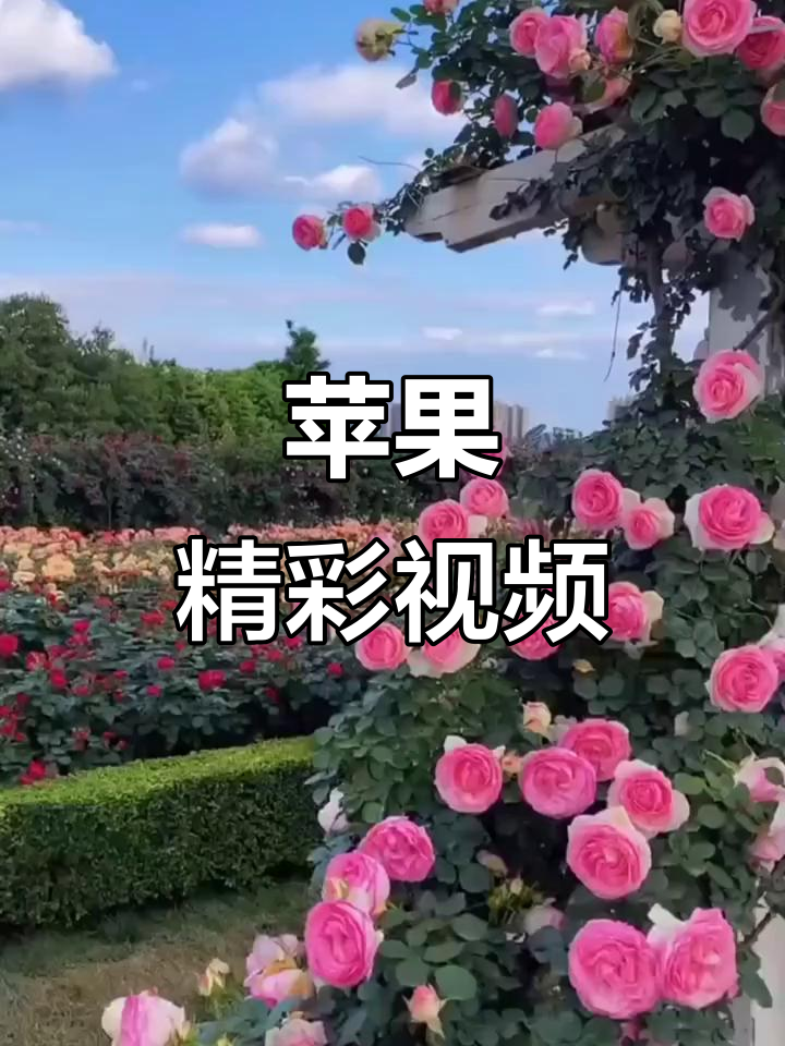 网易视频苹果版(网易视频最新版本)-第5张图片-QuickQ官网 网易视频苹果版(网易视频最新版本)-第5张图片-QuickQ官网