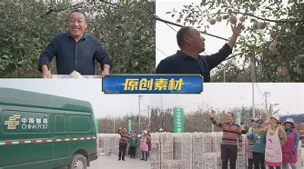 q版摘苹果(植物大战僵尸q版)-第5张图片-QuickQ官网