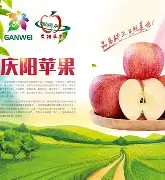 苹果果版测量(苹果的测量软件在哪里)-第2张图片-QuickQ官网