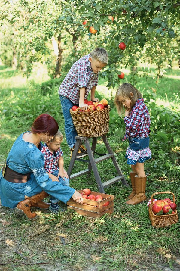 小孩版苹果(苹果小孩壁纸)-第2张图片-QuickQ官网 小孩版苹果(苹果小孩壁纸)-第2张图片-QuickQ官网