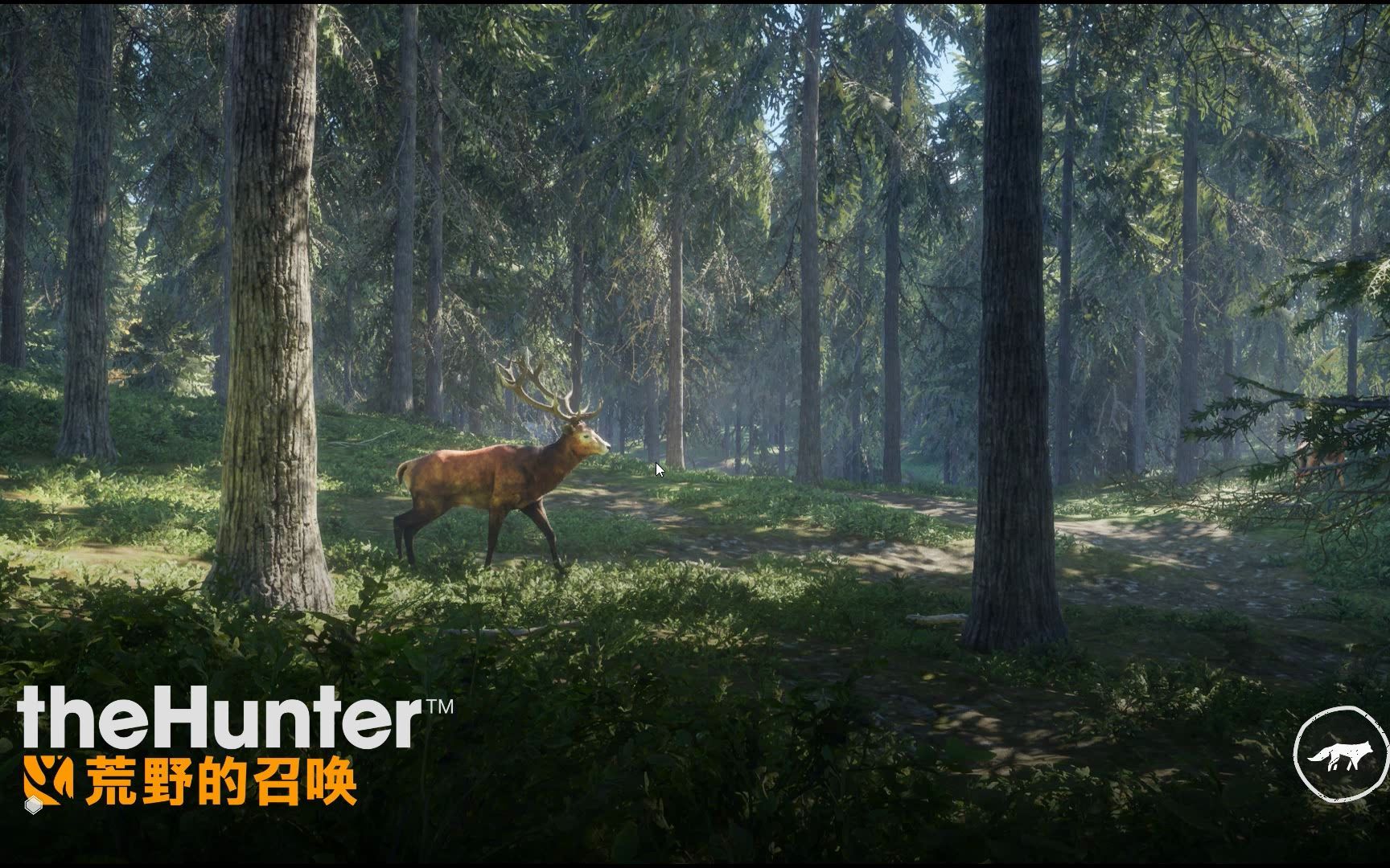 手机版下载猎人的呼唤(手机版下载猎人的呼唤地图)