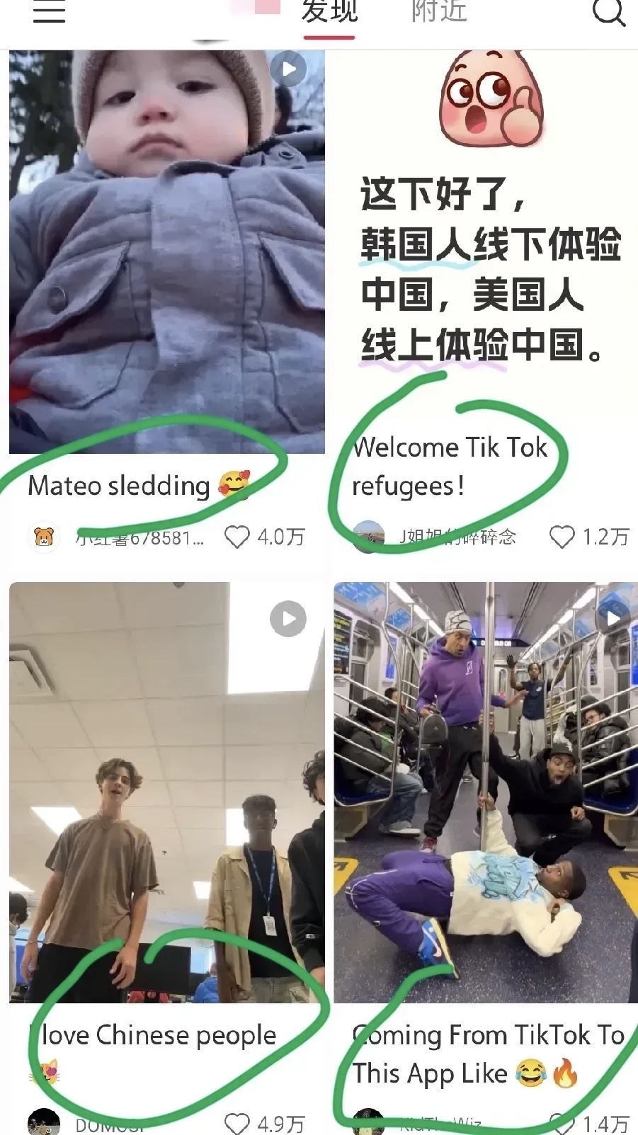 波说手手机版下载(波比手机版下载入口)
