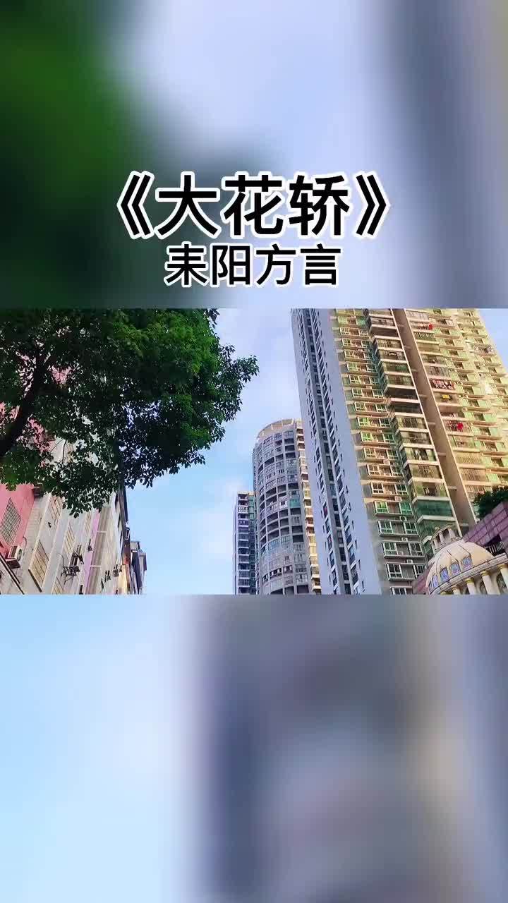 大花轿手机版搞笑版(大花轿搞笑版现场表演)