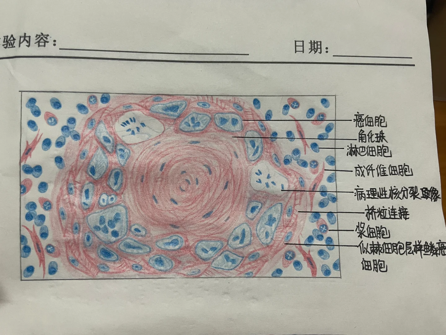 肿瘤画图软件手机版(手机版cad画图制图)-第2张图片-SafeW