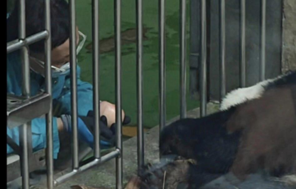 喂饭苹果版(喂饭下载安装)