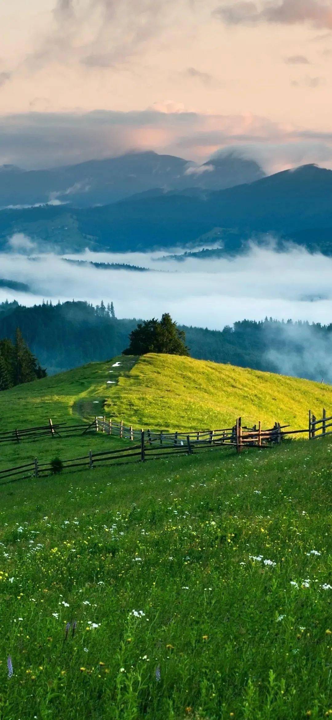 关于91桌面下载手机版的信息